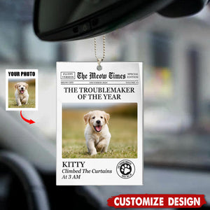 The Troublemaker Of The Year -Personalized Cat Dog Car Ornament-Gift For Pet Lovers