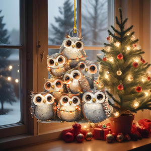 Owl Christmas Ornament-Gift for Animal Lover-2024 New Release