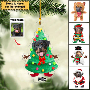 Dog / Cat Lovers - Pet Costume Christmas - Personalized Ornament