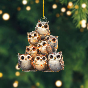 Owl Christmas Ornament-Gift for Animal Lover-2024 New Release