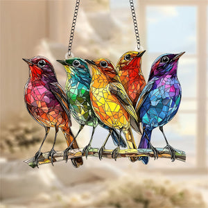 Five Colored Robins Suncatchers-Gift for Bird Lovers,Garden Enthusiasts,Family,Friends