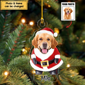 Dog / Cat Lovers - Pet Costume Christmas - Personalized Ornament