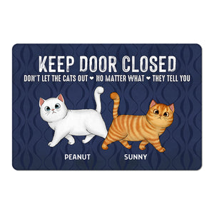 Keep Door Closed Walking Fluffy Cat Personalized Doormat - Gift For Cat Lovers